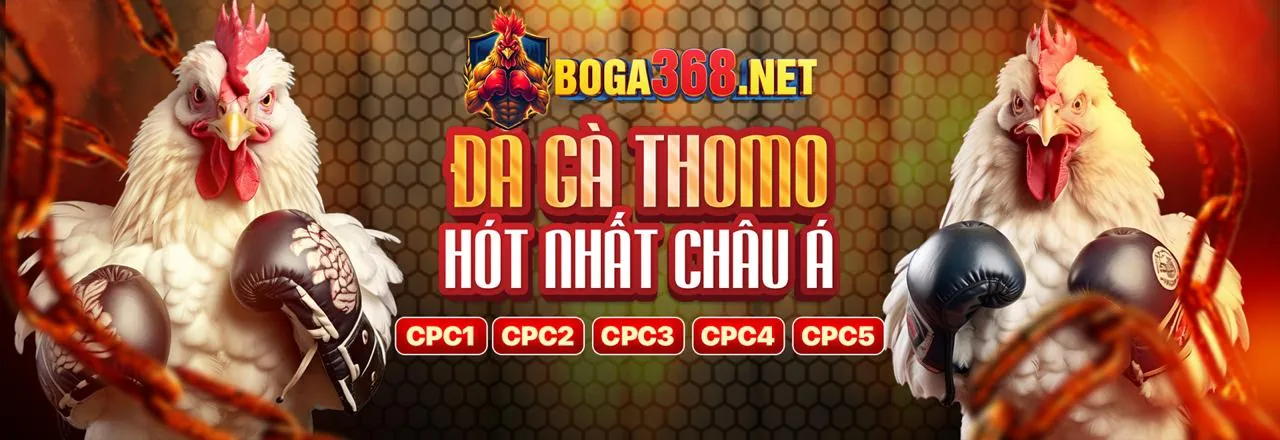 Khuyến Mãi Độc Quyền 555win 2026