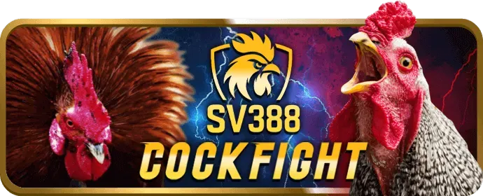 Tải ứng dụng 555win cho trải nghiệm tốt nhất